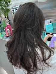 -Hair Code芭曲发型