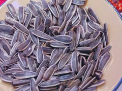 -徐家屯铁锅炖(宋家庄店)