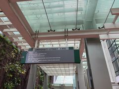 -香港大学