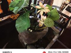 -一味大院•桐庐菜传承店(春江路店)