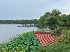 -湖畔居茶楼(湖滨店)