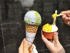 OATLY燕麦地球-Dal Cuore 达可芮冰淇淋(陕西北路店)