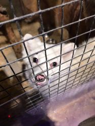 -酷嗒动物文化乐园(cutezoo西溪乐天城店)