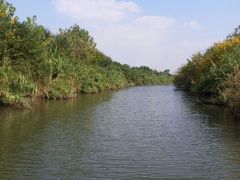 湿地公园-溱湖国家湿地公园