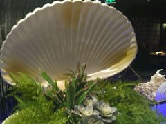 -V-ONE西雅图海鲜自助餐厅(仓山万达广场店)