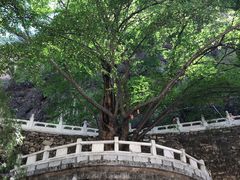 -藏山旅游风景区