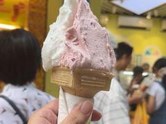-柠檬车露(卖草地店)