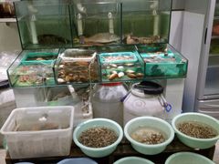 -胖子饺子馆·海鲜家常菜(海军博物馆店)