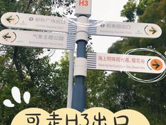 -狐尾山公园