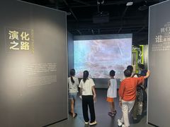 -四川大学博物馆