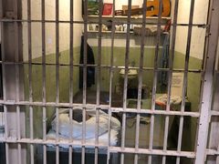 -阿尔卡特拉斯岛