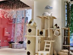 大堂-藏猫猫咖啡主题馆(中央大道店)