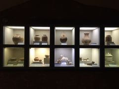 -广西壮族自治区博物馆