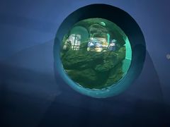 -苏州海洋馆