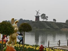 -金卉庄园