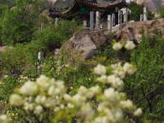 -北京凤凰岭