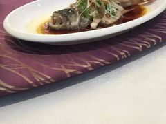 -欢乐海岸美食联盟
