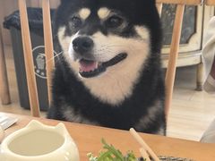 -柴の食堂·日式家庭料理·熊之肆(大学路店)