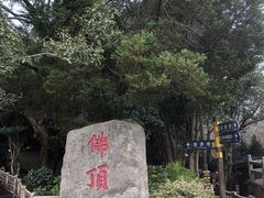 -普陀山风景区-佛顶山