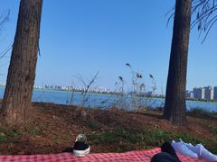 -金银湖国家城市湿地公园