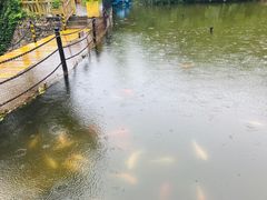 -仙居谷风景区