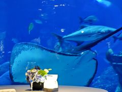 -OSSIANO奥西亚诺海底餐厅
