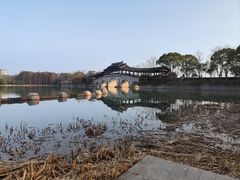 -长广溪湿地公园
