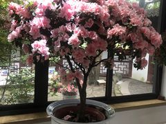 -汇龙潭