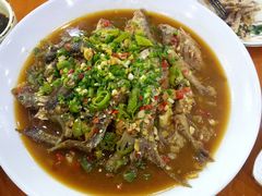 野生杂鱼-全乐鱼馆·淳牌有机鱼直营店