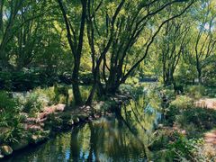 -上海共青森林公园