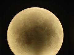 -深圳独角兽星空艺术馆