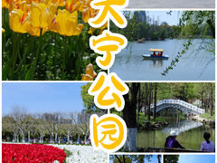 -大宁公园