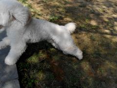 -敬亭山风景名胜区