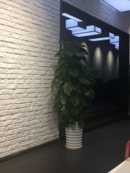 -CIT造型·烫发·染发
