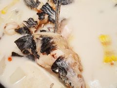 鲜潭蒸汽石锅江团鱼-鲜潭蒸汽石锅鱼(五道口购物中心店)