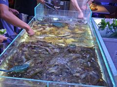 -聚盛源蒸汽海鲜火锅烤肉自助(巨川金海岸购物广场店)