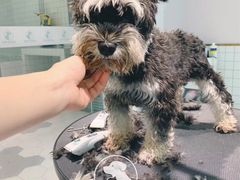 -萌宠主义宠物生活馆(金山路店)