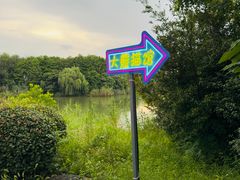 -苏州太湖国家湿地公园