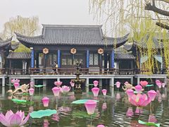 -中国翰园碑林