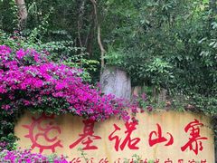 -西双版纳基诺山寨