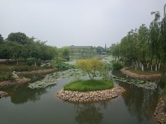 -东台西溪天仙缘景区