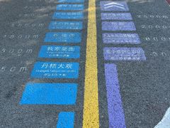 -前小桔亲子创意农场·草莓采摘·露营烧烤