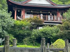 -十八棵（老龙井）御茶园(老龙井店)