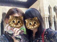 -阿尔罕布拉宫