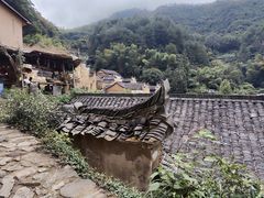 -杨家堂村
