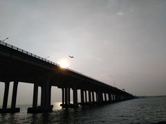 -宝安西湾红树林湿地公园