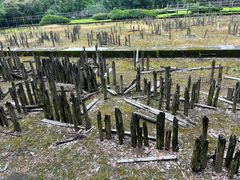 -河姆渡遗址博物馆