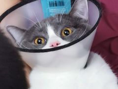 -宠颐生中康贝怡动物医院