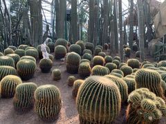 -南山植物园
