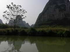 -明仕田园